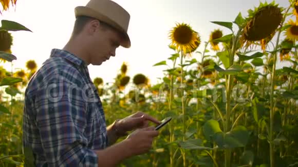 那个年轻的学生在田野上用向日葵打瞌睡视频的预览图