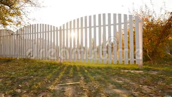 美丽的绿色草坪白色栅栏明亮的阳光视频的预览图