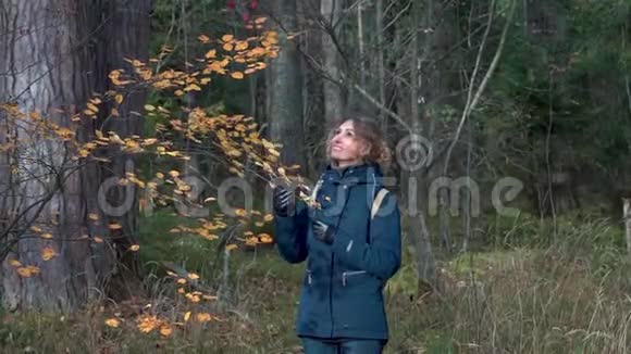 一个苗条甜美的女人走过一片美丽的秋天森林在桦树和枞树之间欣赏着枯黄的叶子视频的预览图