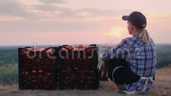 女农夫坐在放着西红柿的盒子旁边欣赏着美丽的风景下班后休息视频的预览图