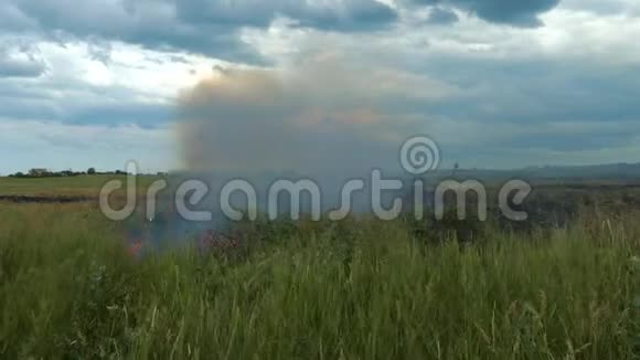 在麦地上燃烧着火视频的预览图