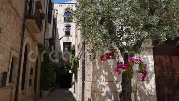 康帕诺的小巷普利亚意大利视频的预览图