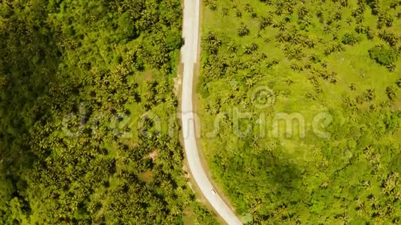 丛林和棕榈树之间的公路视频的预览图