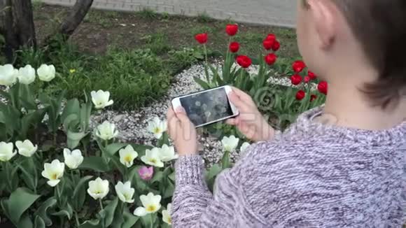 一个十几岁的男孩在春天的花园里用智能手机制作郁金香花的视频或照片视频的预览图