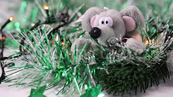 圣诞花环在人造云杉树枝上闪烁围绕着一个软玩具以老鼠的形式出现视频的预览图