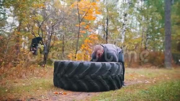 戴着手套的强壮纹身的男人健美运动员推着卡车轮胎在地上在秋天的森林里训练视频的预览图