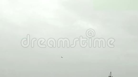 这是天空中飞翔的乌鸦视频的预览图
