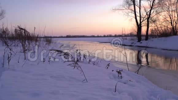 冬天的风景阳光明媚的早晨白雪覆盖的森林里的霜冻树木在夕阳下平静的冬日自然视频的预览图