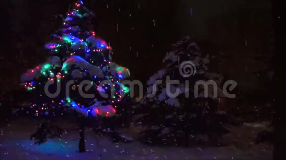 冬天森林里的圣诞树闪烁的灯光夜林下雪灯火通明视频的预览图