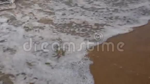有海浪的海滩视频的预览图