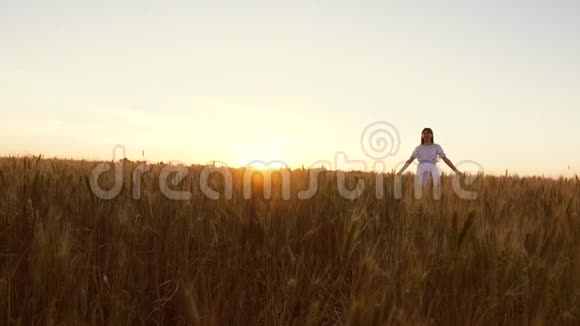 日落时分幸福的爸爸妈妈和孩子在一片麦田里的剪影农民和家庭在田野上一个孩子视频的预览图