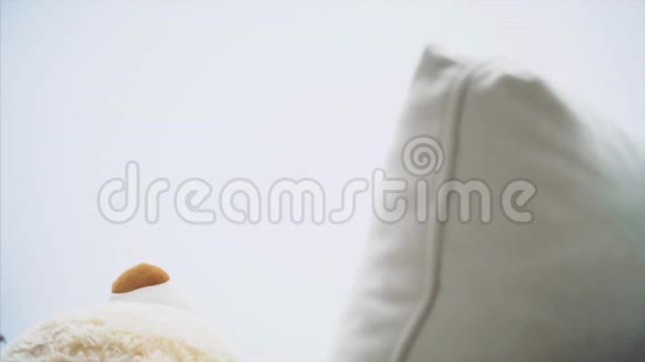 小女孩编着辫子把白色泰迪放在沙发上用毯子盖住它走开了视频的预览图