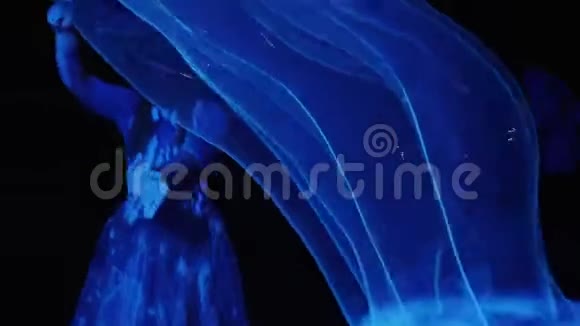 肥皂泡以蓝色突出显示视频的预览图