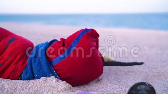 一只可爱的黑褐色的肥狗在暑假的时候在海边晒日光浴穿着红色的t恤和sh视频的预览图