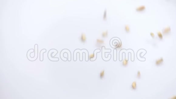 白色背景上的燕麦从顶部掉落并填充框架慢动作96f视频的预览图