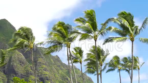 夏威夷瓦胡岛的库劳山视频的预览图