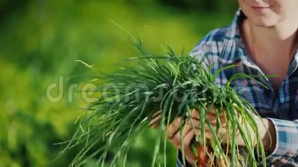 农夫他手里拿着一大捆从花园里剪下来的洋葱视频的预览图