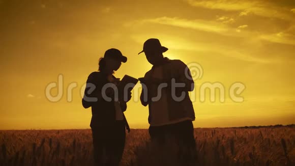 剪影农户田间劳作沟通看碑两个农民在田里谈话用平板电脑视频的预览图