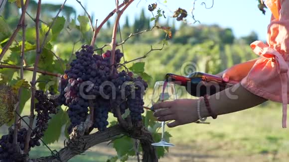 在托斯卡纳的葡萄园里品尝红酒视频的预览图