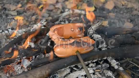 烹饪篝火上的香肠视频的预览图