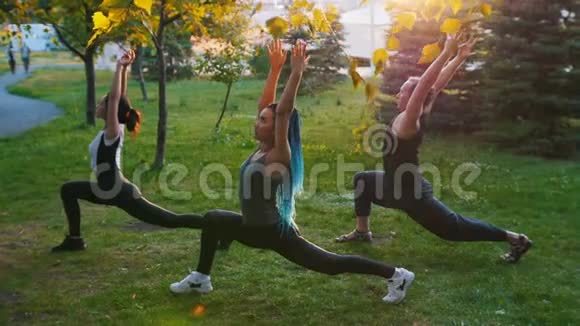 两位年轻女性在阳光下和教练一起在公园里做瑜伽体式一位女士有着长长的蓝色恐惧症视频的预览图