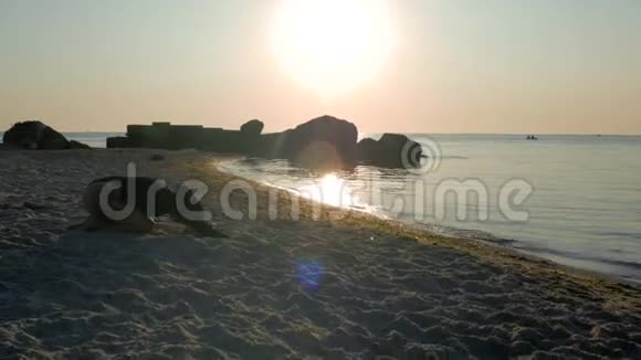 运动女孩穿着黑色紧身衣臀部纹身在靠近大海或海洋的沙滩上做瑜伽在阳光的背光下视频的预览图