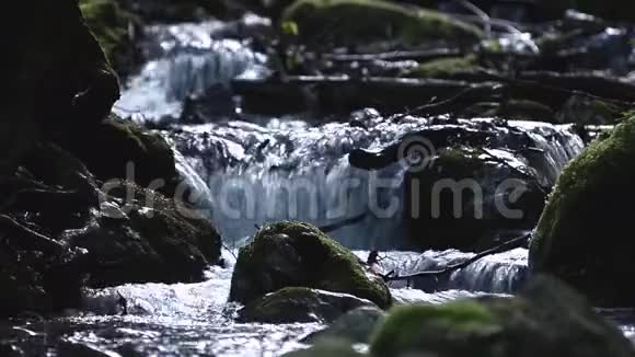在潮湿的岩石中山上的溪流视频的预览图