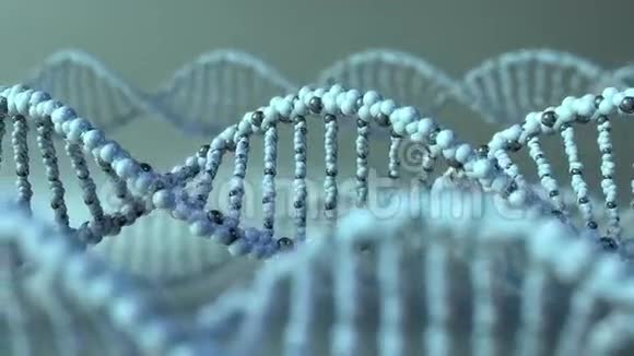 旋转DNA分子基因基因研究或现代医学概念4K无缝循环动画视频的预览图