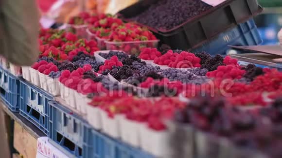 市中心的水果市场可在柜台观看视频的预览图