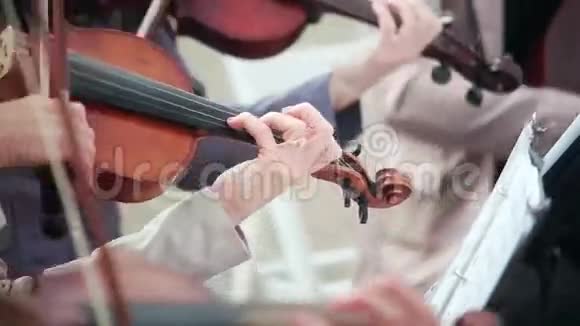 弹弦琴的女人小提琴大提琴视频的预览图
