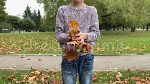 秋天公园里扔干枫叶的少年面目全非视频的预览图