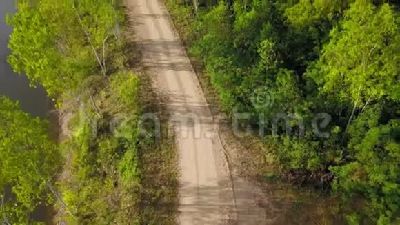 通过绿色桉树林的湖边小路鸟瞰图视频的预览图