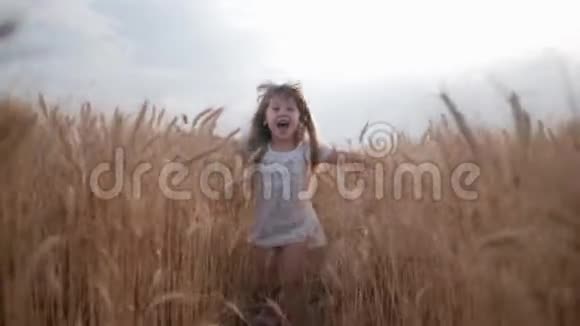 有趣的童年可爱的小女孩美丽的蓝眼睛穿着白色的衣服手臂伸展在田野上视频的预览图