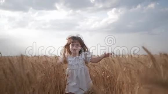 孩子们在田野里情绪激动的小女孩穿着白色连衣裙手臂张开迎接着金色的麦田视频的预览图