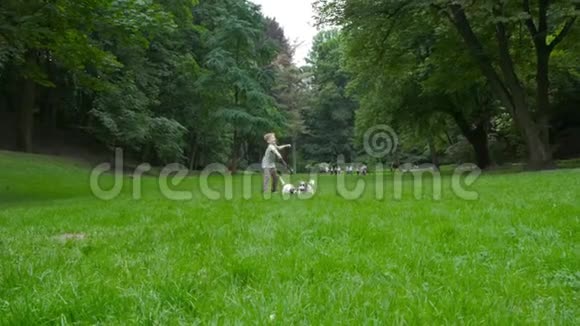 让一起玩概念白种人金发男孩和他的两只狗杰克罗素梗在公园里散步和跑步视频的预览图
