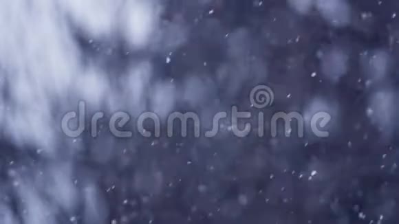 冬天的背景落下的雪被隔离了视频的预览图