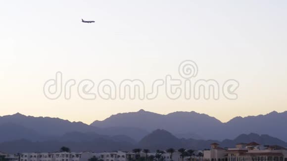 黄昏时分飞机飞过热带树木飞机降落在沙姆沙伊赫国际机场视频的预览图