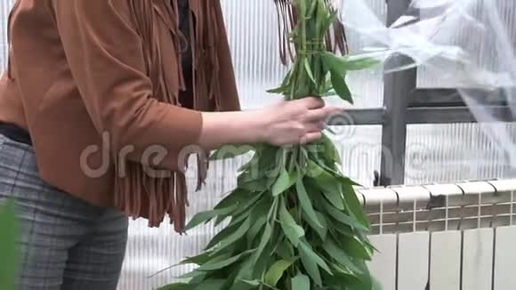 女人收集花束温室塑料包装视频的预览图