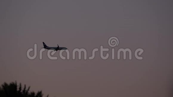 飞机降落在一个热带国家黄昏时分飞机坐在棕榈树的背景上视频的预览图