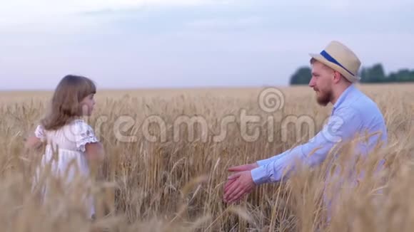 友好的家庭幸福的亲戚爸爸和小女儿在成熟小麦的麦田里玩得很开心视频的预览图