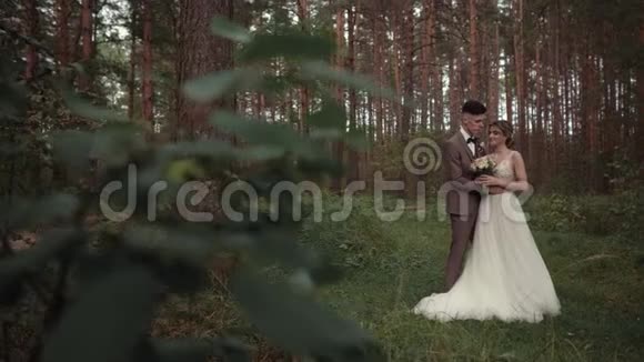美丽的森林里美丽的年轻婚礼夫妇拥抱亲吻和微笑结婚夫妇的总计划视频的预览图