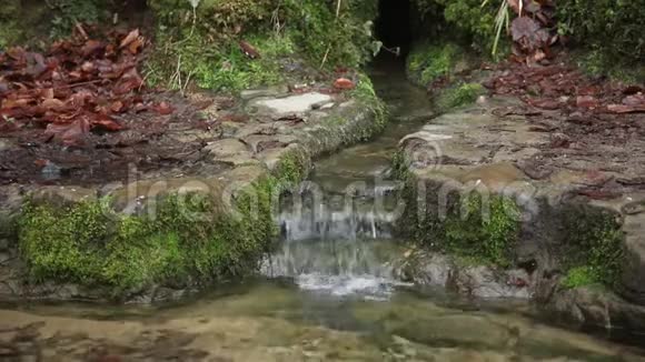 大自然中的小瀑布石头和苔藓视频的预览图