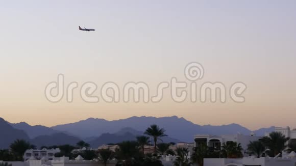 飞机在黄昏时分飞过棕榈树飞机降落在沙姆沙伊赫国际机场视频的预览图