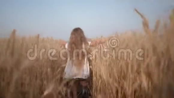农业可爱的小女孩金色长发穿着白色的衣服在麦田里奔跑秋高气爽视频的预览图