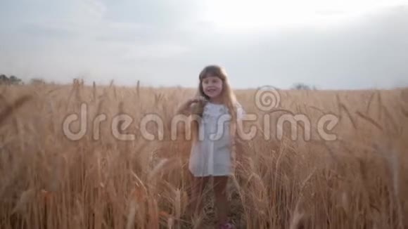 乡下人很可爱一个穿白衣服的小女孩厌倦了在熟透的麦田里玩谷物视频的预览图