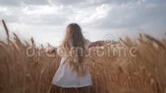 快乐的童年穿着白色连衣裙的小女孩奔跑着手臂伸展到麦田的两侧带着金色的小穗视频的预览图