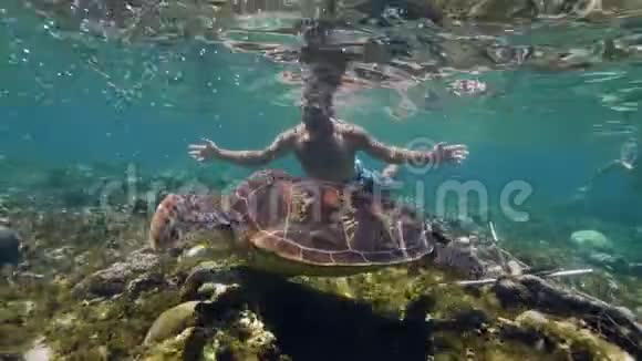 年轻人正和海龟在水下游泳视频的预览图