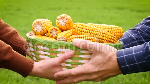 两个农民把一篮子玉米放在一片绿色的田野上农业生物制品作物生产视频的预览图