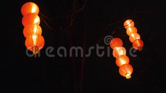 晚上挂在树上的中国灯笼中国新年庆典视频的预览图