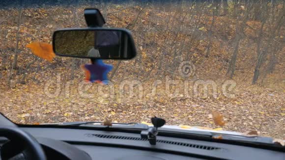 从车上看到树林里窗外的黄色树叶秋季旅行或周末旅行视频的预览图